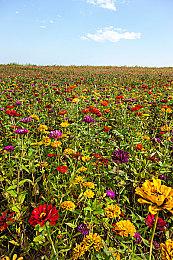 《时空奥德赛》6月PC版内测 虚幻5韩国制MMORPG